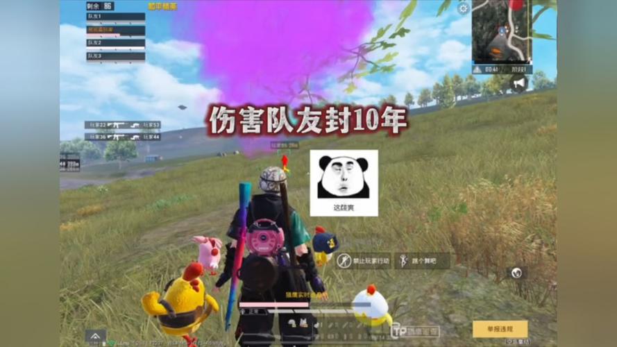 pubg地铁国际服《荔枝》辅助更新人物飞天功能版本